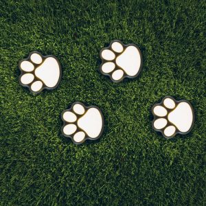 LED-es szolár lámpa - kutya lábnyom, leszúrható - műanyag - fekete - 360 cm    Garden of Eden 11255 - Image 3