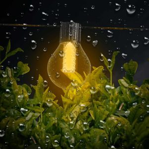 Smart fényfüzér - 25 db RGB LED - 7,5 m  - bluetooth, 100-240V, 7W    Garden of Eden 11745 - Image 3