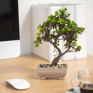 Műnövény dekoráció - bonsai - 18 x 24 cm - 4 féle    Vog und Arths 11834 - Image 4