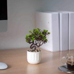 Műnövény dekoráció - bonsai, cserepes - 12 x 17 cm - 4 féle    Vog und Arths 11860 - Image 4