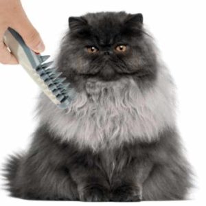 Kisállatfésű és szőrcsomótlanító gép - elemes     A0058 - Image 4