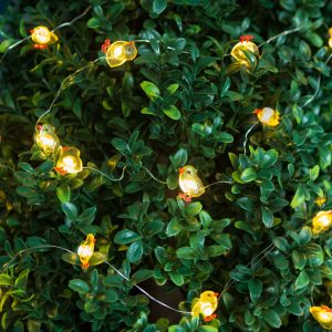 LED fényfüzér - csibe - 2 m - 20 LED - 2 x AA    Family 58923A - Image 3