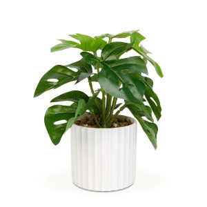 Műnövény dekoráció - filodendron - zöld - 20 x 8 cm     11892A - Image 2