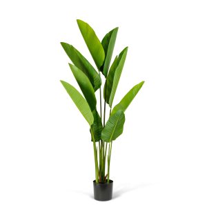 Műnövény dekoráció - banánlevél fa - zöld - 1,6 m     11905B - Image 2